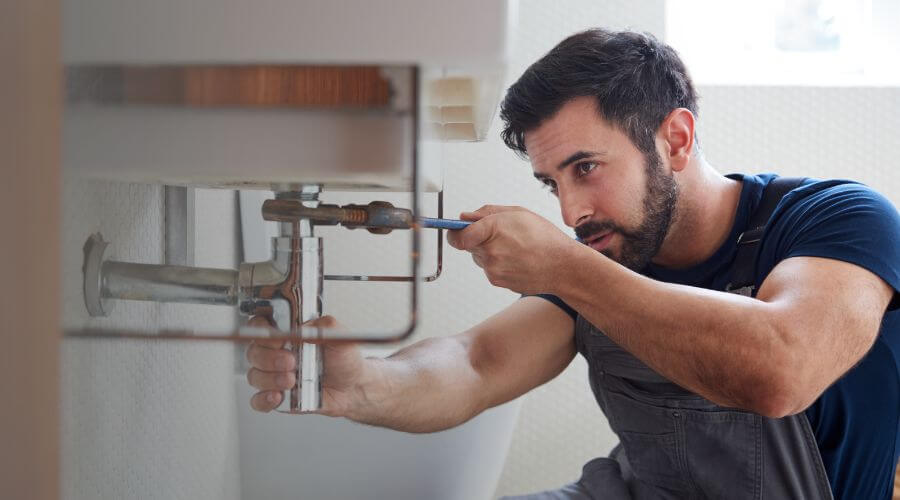 Trap Repair/Replacement in Elmore, MN
